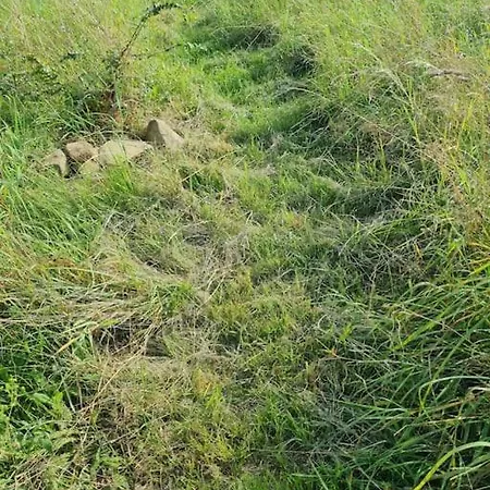 Beheiztes Tipi Zelt Luftbett Winter Hessen Main-kinzig